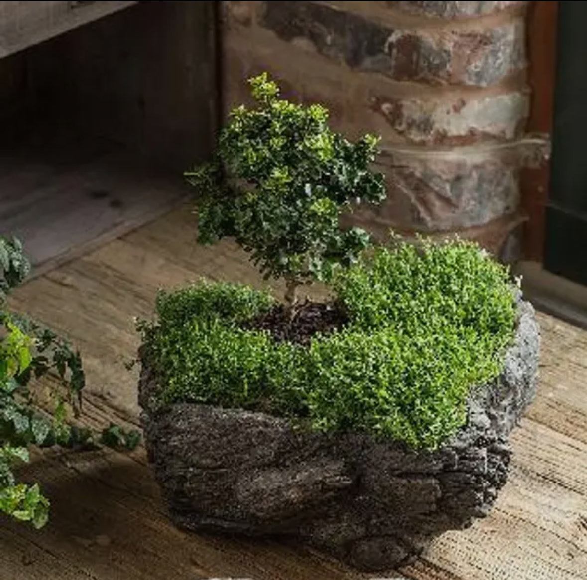 Cement Burled Bark Planter - Large