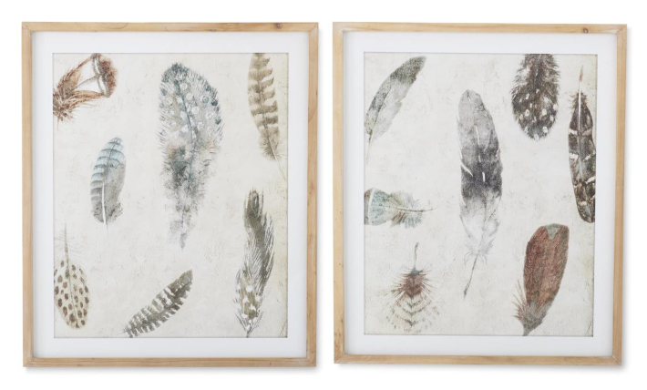 27.5" Natural Wood Framed Feather Print