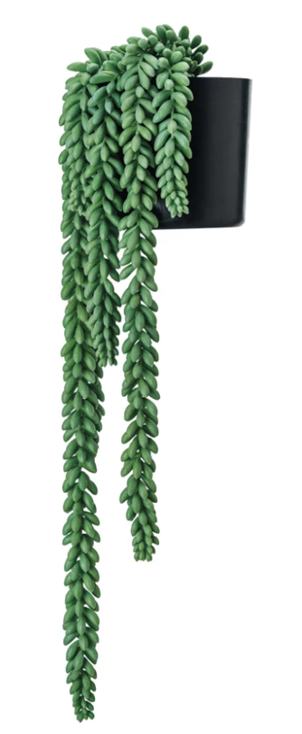22"L Faux Donkey Tail Plant in Plastic Pot