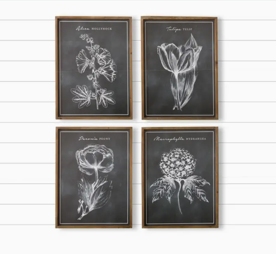 Chalk Style Botanical Wall Art - 4 STYLES