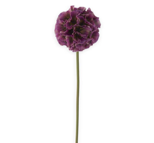 22" Dark Purple Scabiosa Pod Stem