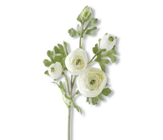 24" White Real Touch Ranunculus Stem