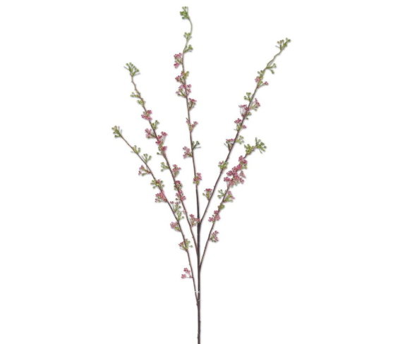 Pink Hoary Willow Spray