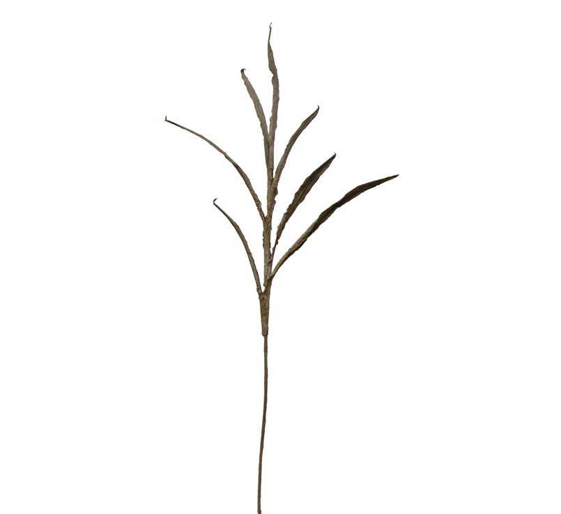 Faux Botanical w/ Dark Olive Plaster Finish