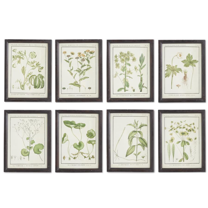 Wood Framed Botanical Print - E
