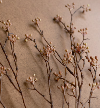Budding Branch Stem