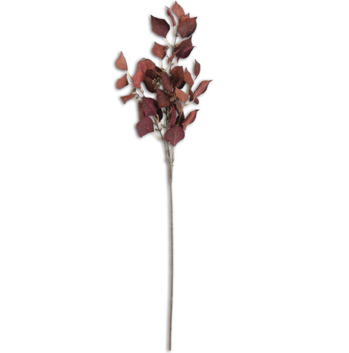 Burgundy/Rust Silver Dollar Eucalyptus