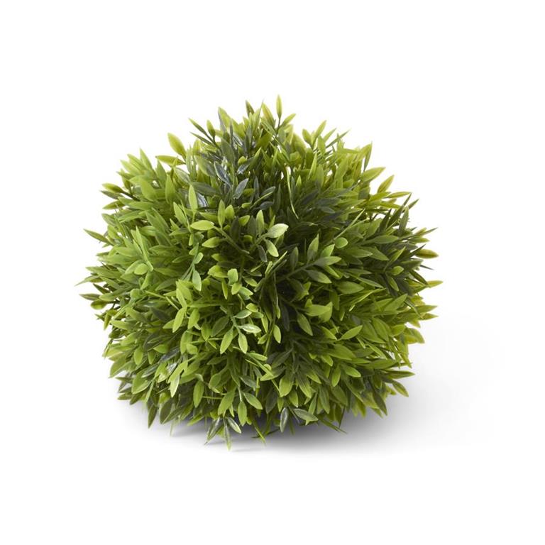 8"PODOCARPUS BALL