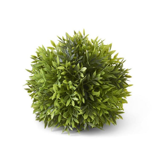8"PODOCARPUS BALL