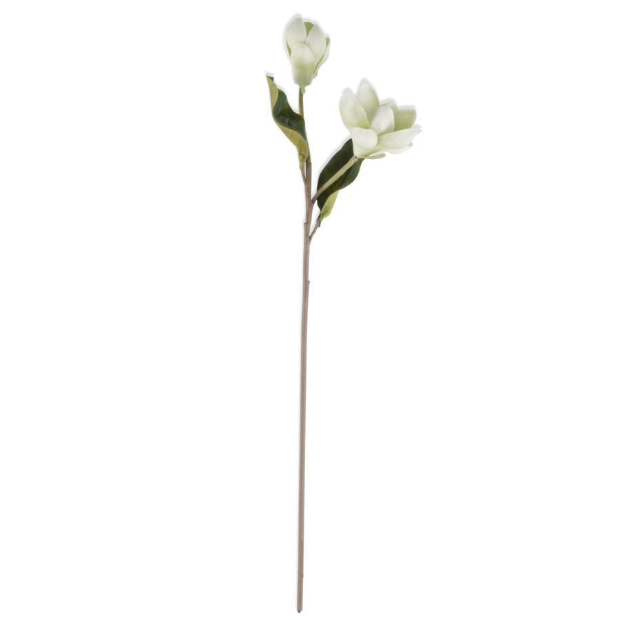 RT WHITE MAGNOLIA