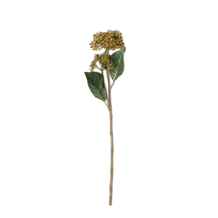23"NATURAL HYDRANGEA BUDS STEM
