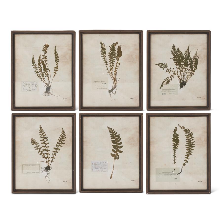 10.25"RSTY METAL FRAME FERN
