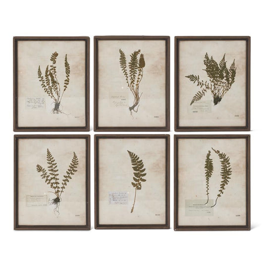 10.25"RSTY METAL FRAME FERN