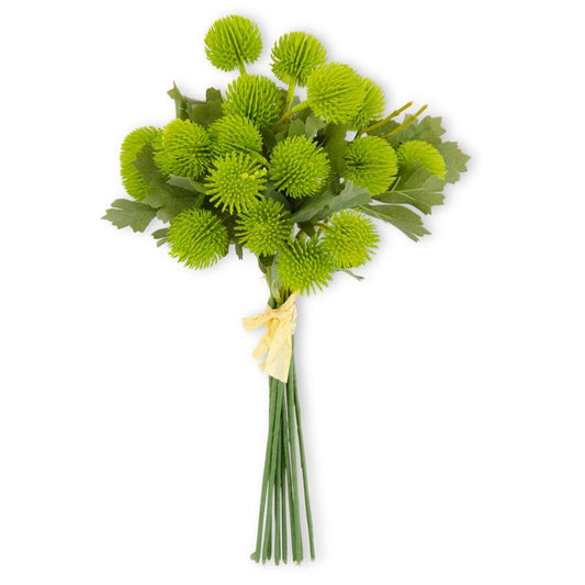 13" GREEN SYCAMORE BALL STEM