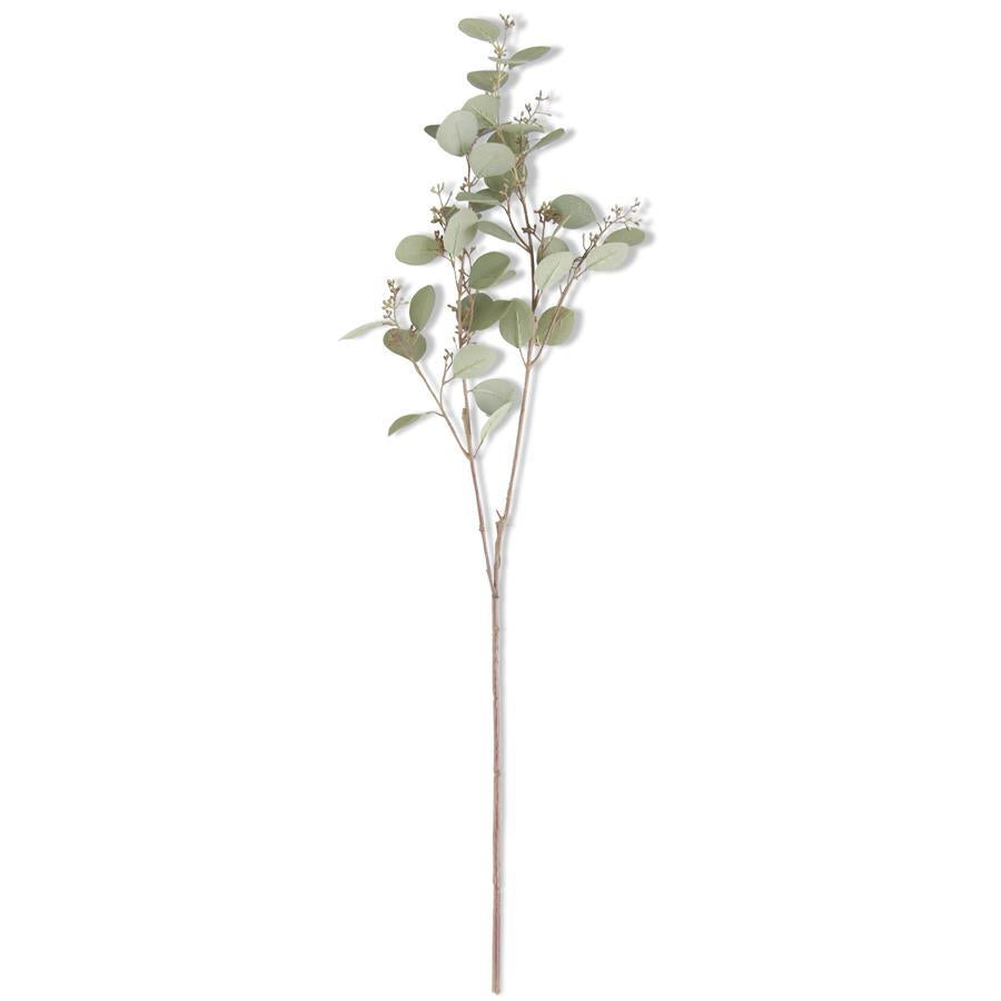 33"GREEN BUDDING EUCALYPTUS STEM