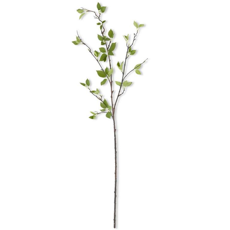 46" GREENLEAF BRANCH