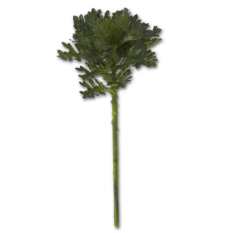19"GREEN CABBAGE STEM