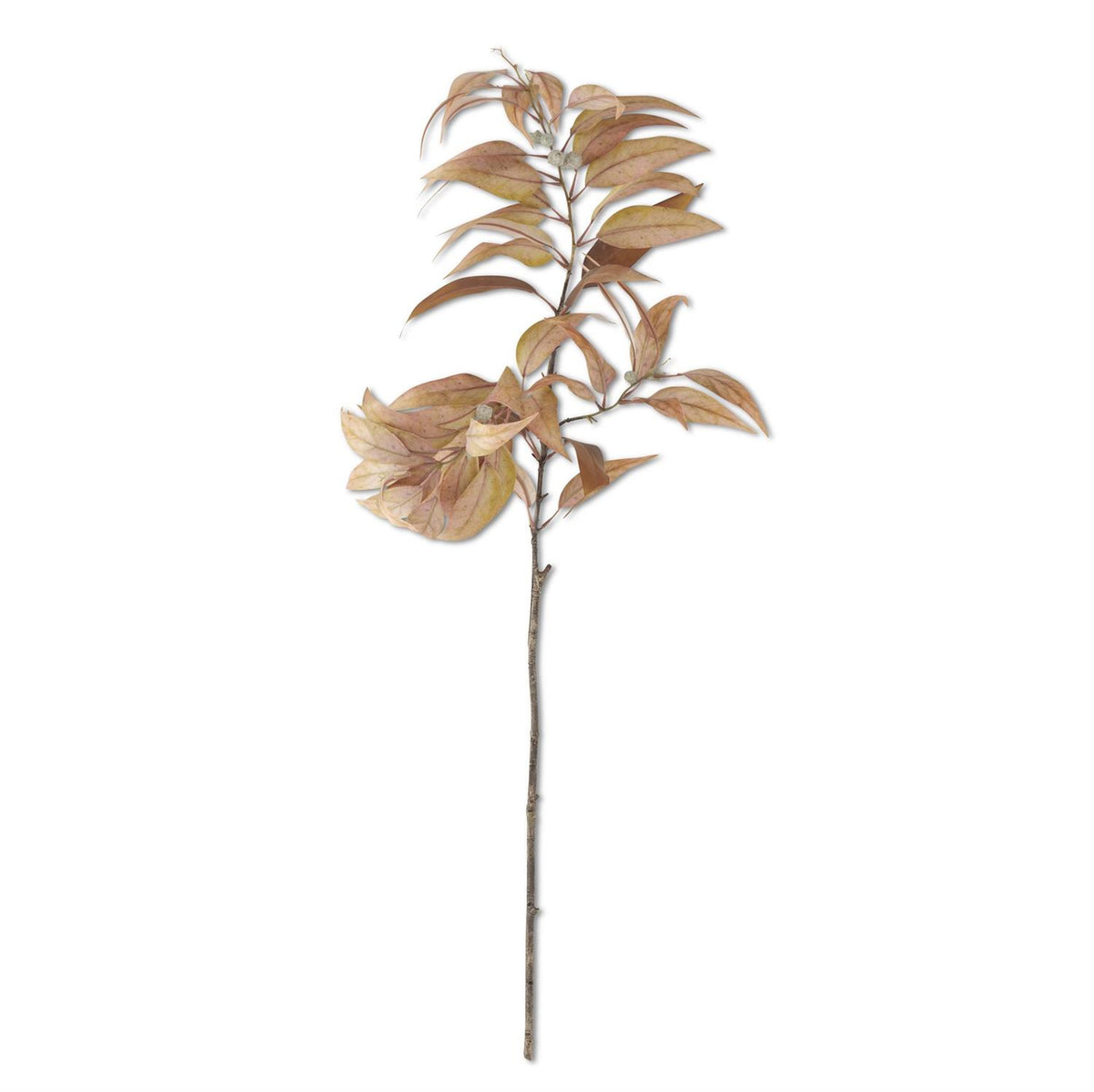 48"YELT EUCALUPTUS BRANCH