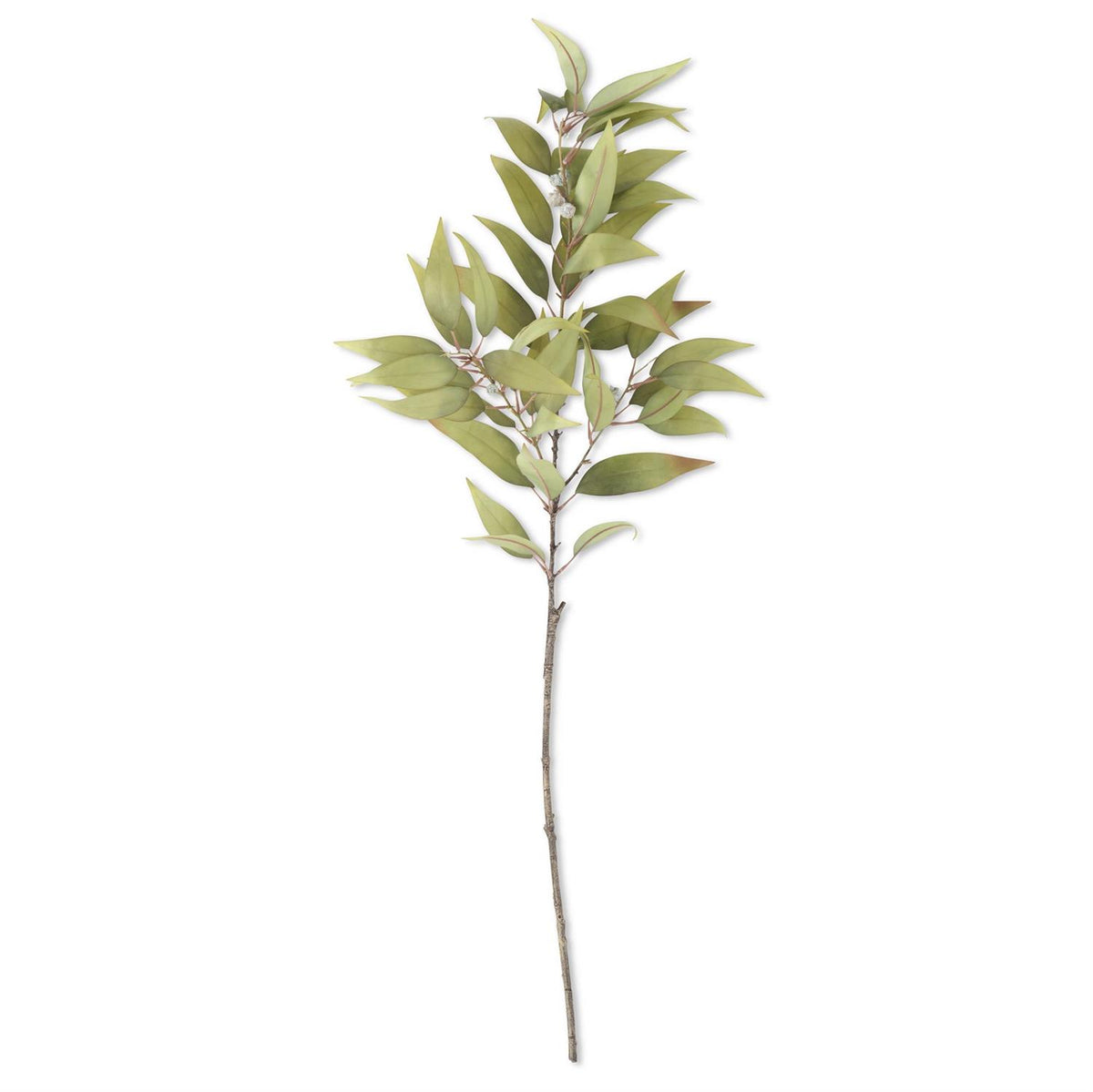 48"GRE EUCALYPTUS BRANCH