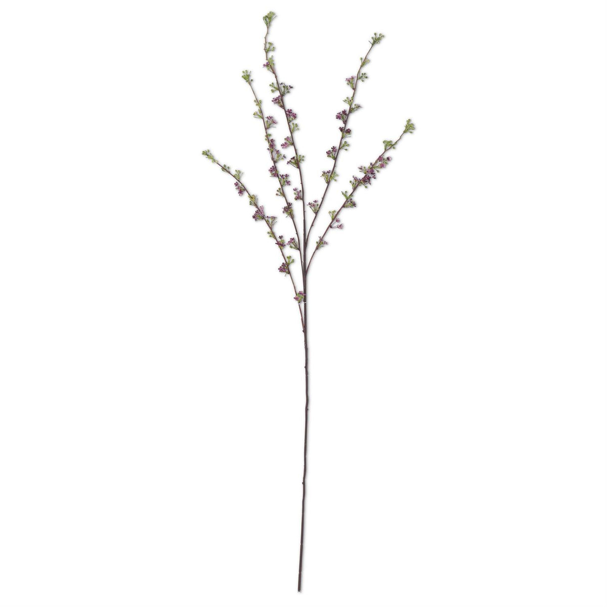 46" PURPLE HOARY SPRAY