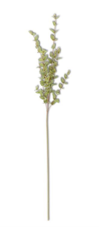 Mini Heart Eucalyptus Spray