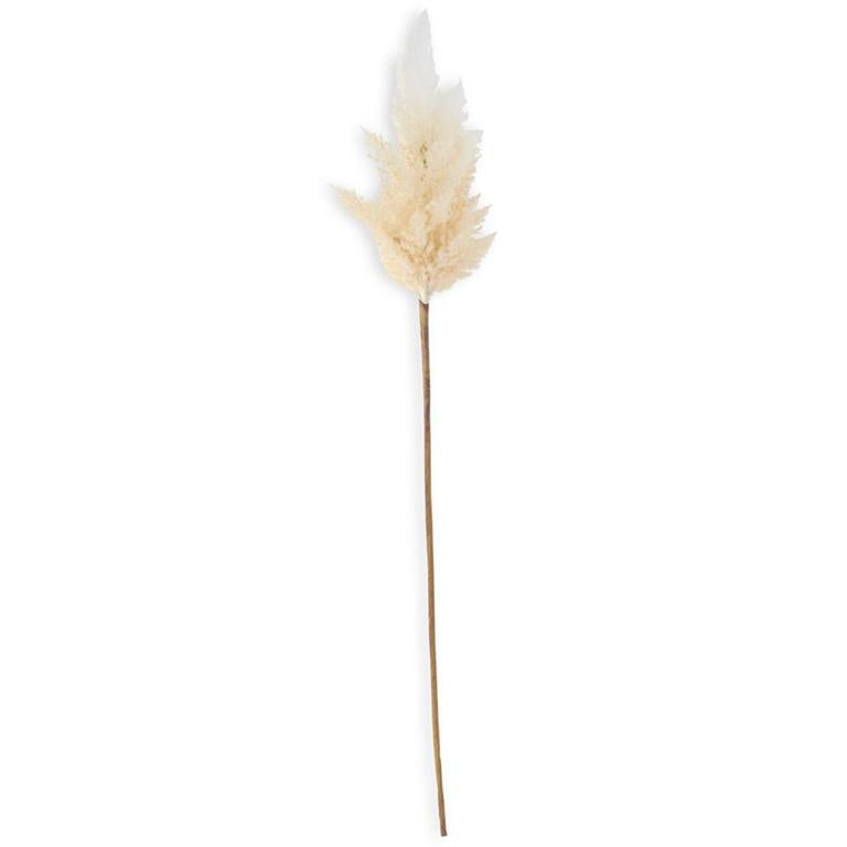 35"FLOCKED CREAM PAMPAS BRANCH