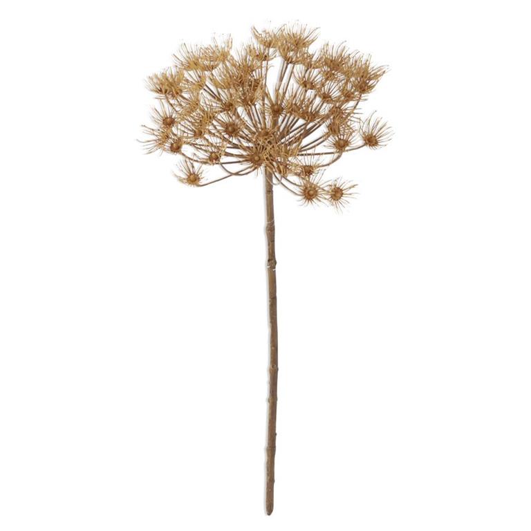 21"TAN ALLIUM STEM