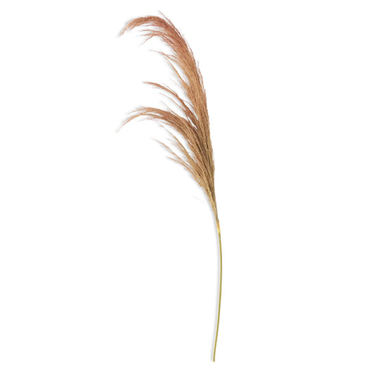 45" BEIGE PAMPAS STEM