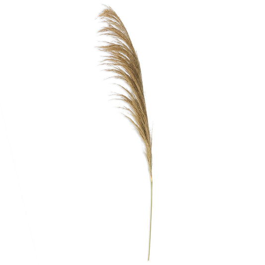 45" NATURAL PAMPAS STEM