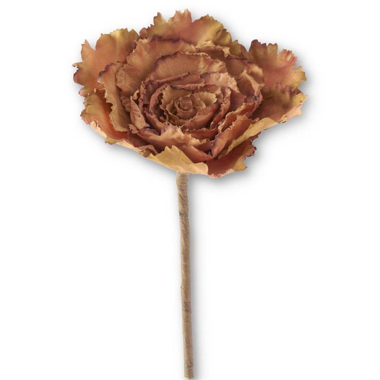 12"BROWN CABBAGE PICK