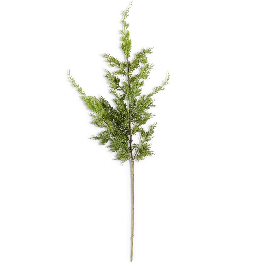 36"CYPRESS PINE BRANCH