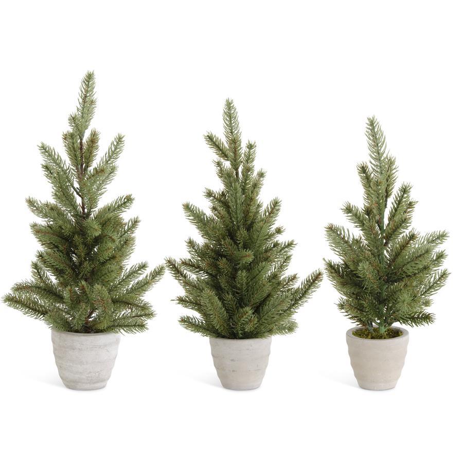 MD PINE TREE IN GRAY POT