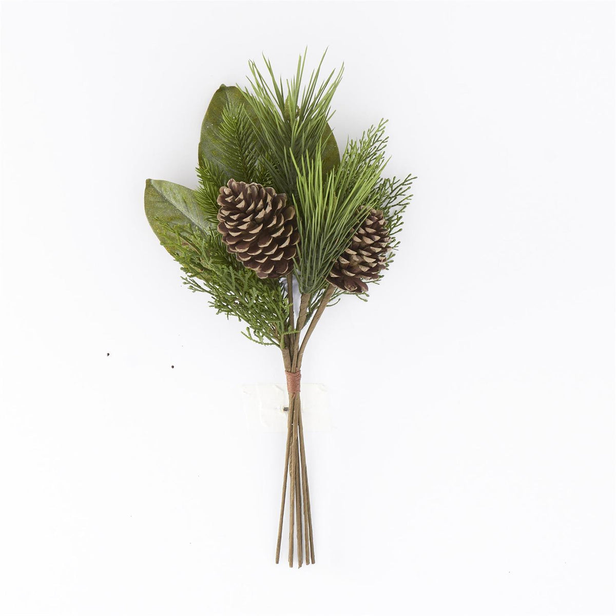 21"PINE&MAGNOLIA BUNDLE W/PINECONES