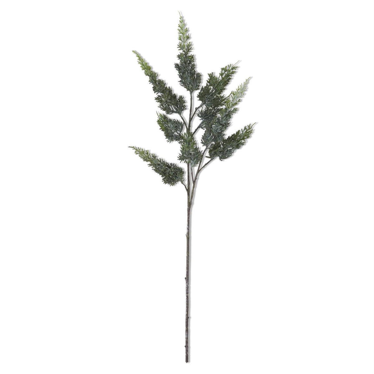 34" Cypress Pine Stem