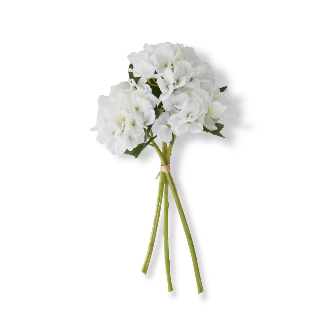 RT White Hydrangea