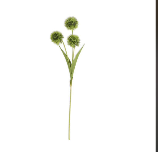 Green Ball Flower Stem