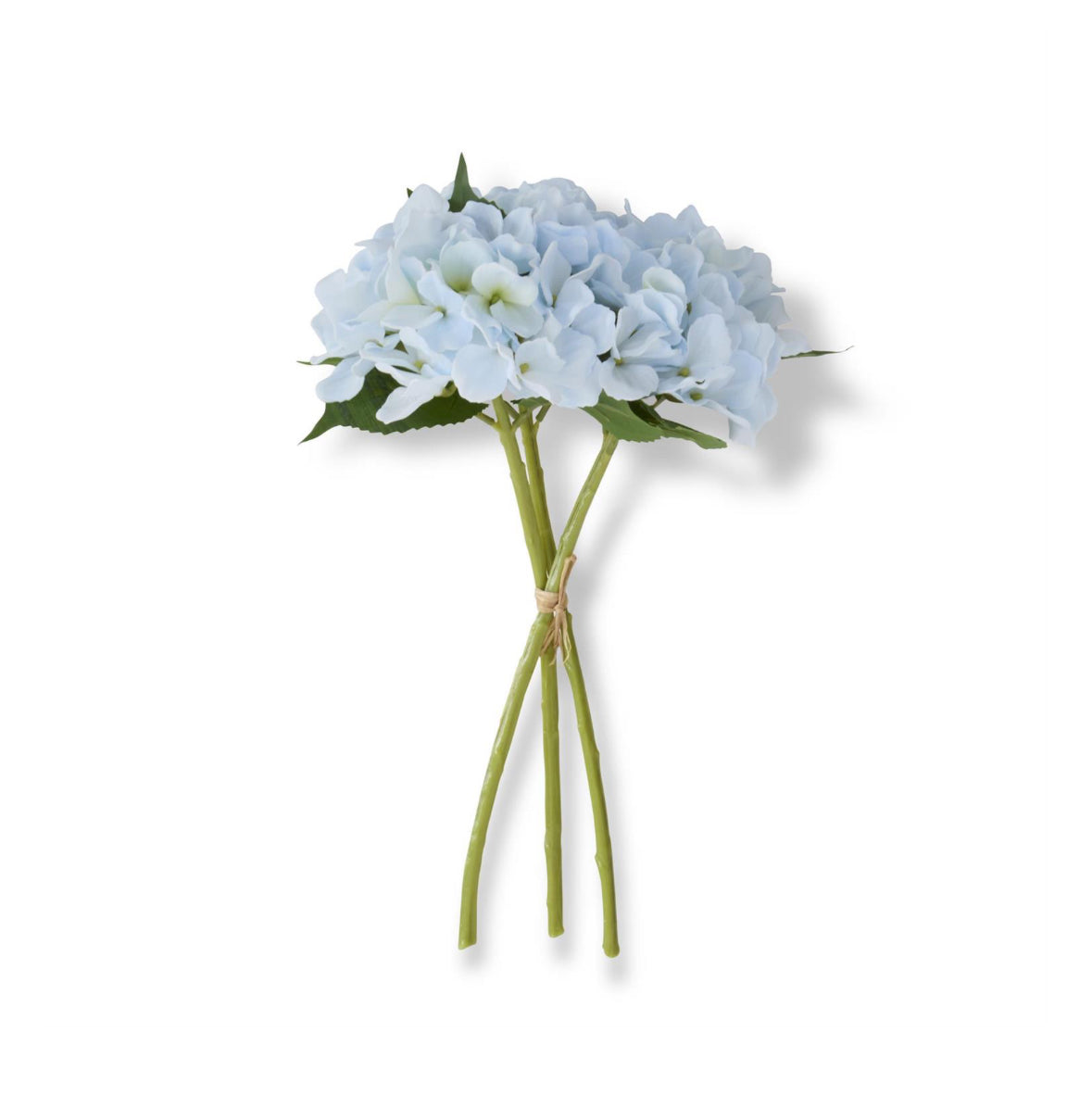 RT Blue Hydrangea