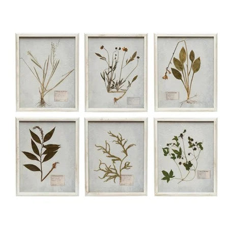 16" Wall Art - Dried Botanicals Mixed styles
