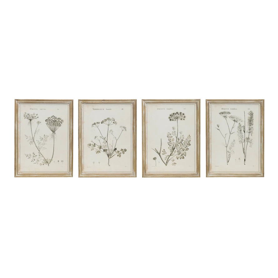 17-3/4" x 23-1/2" Wall Art- Mixed Botanicals