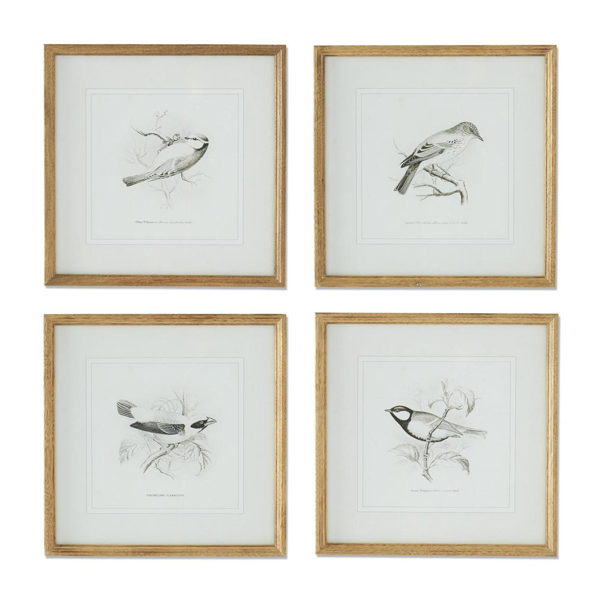 19” Wall Art - Bird