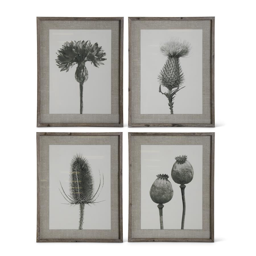 27” Wall Art - Floral Stems