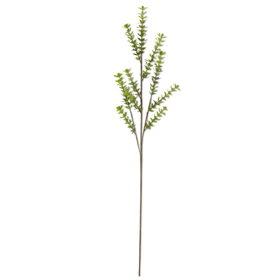 Green Pivot Foliage