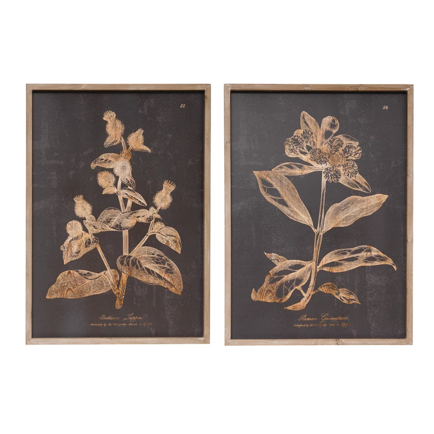 Wall Art Blk Botanicals
