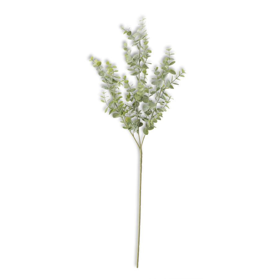 Soft Green Eucalyptus