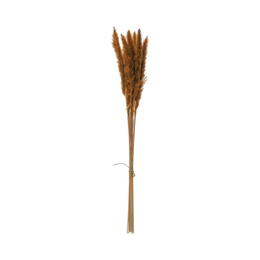 Dried Pampas Grass