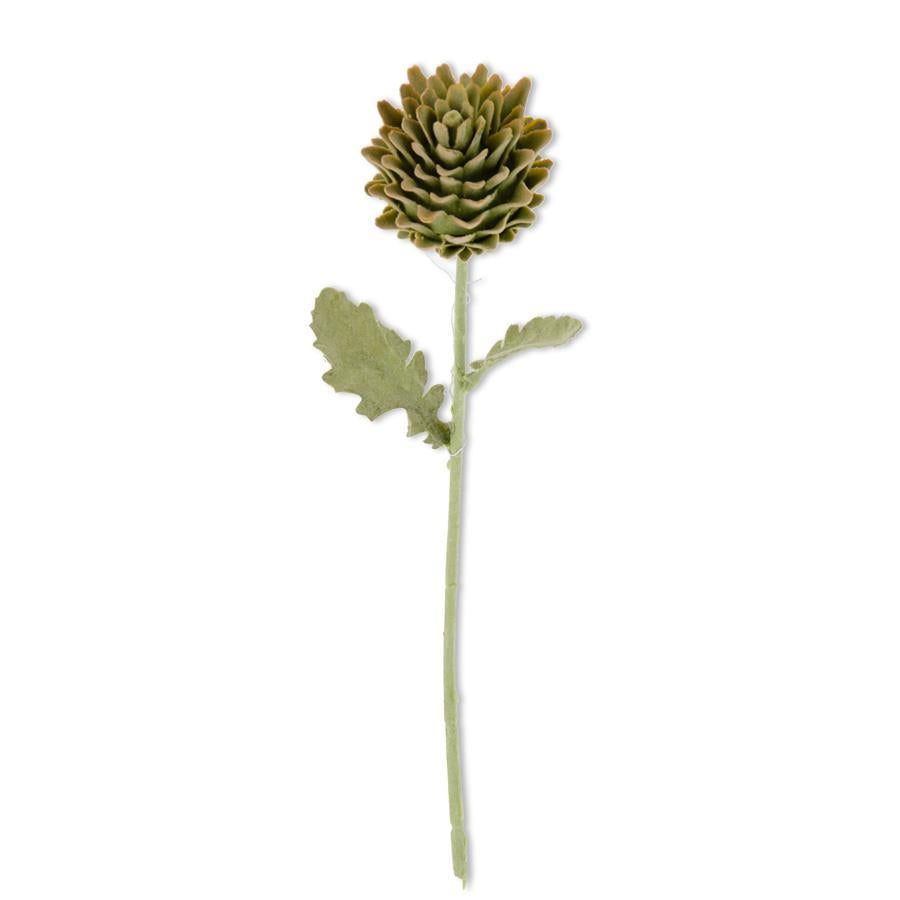 16” Artichoke Stem