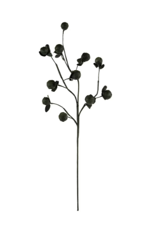 Black Botanica Stem
