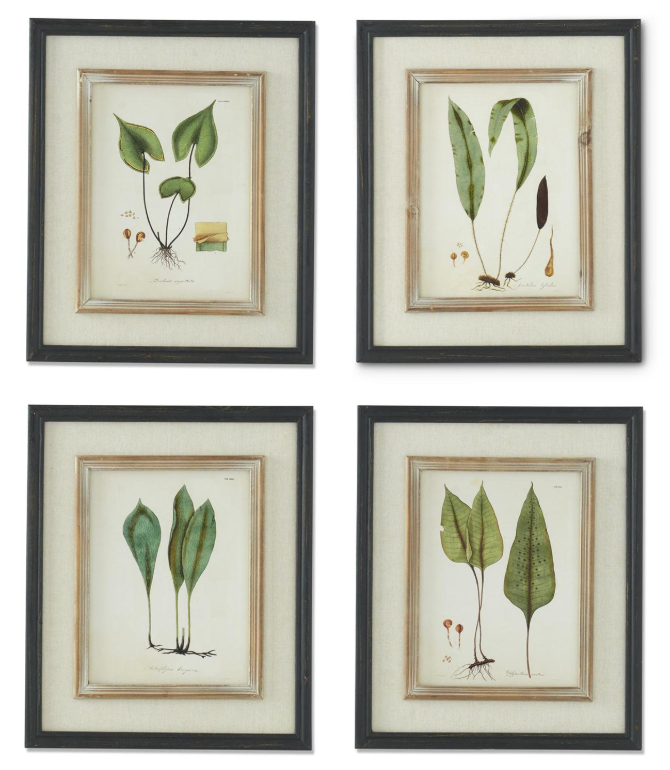 23.5" Black & Tan Double Frame Botanical Wall Art