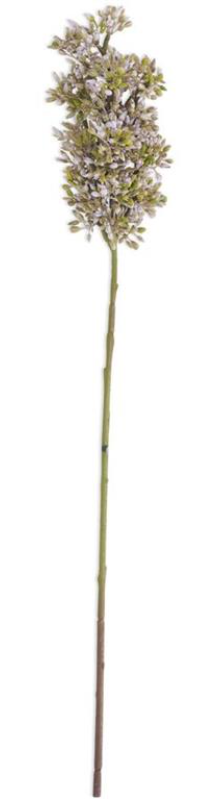 24" Purple Budded Lilac Stem