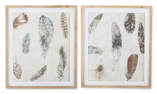 27.5" Natural Wood Framed Feather Print